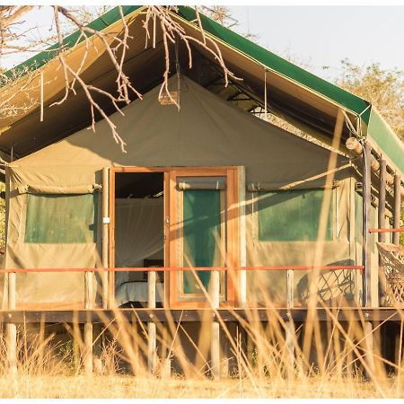 Timbavati Safari Lodge Mbabat Zewnętrze zdjęcie