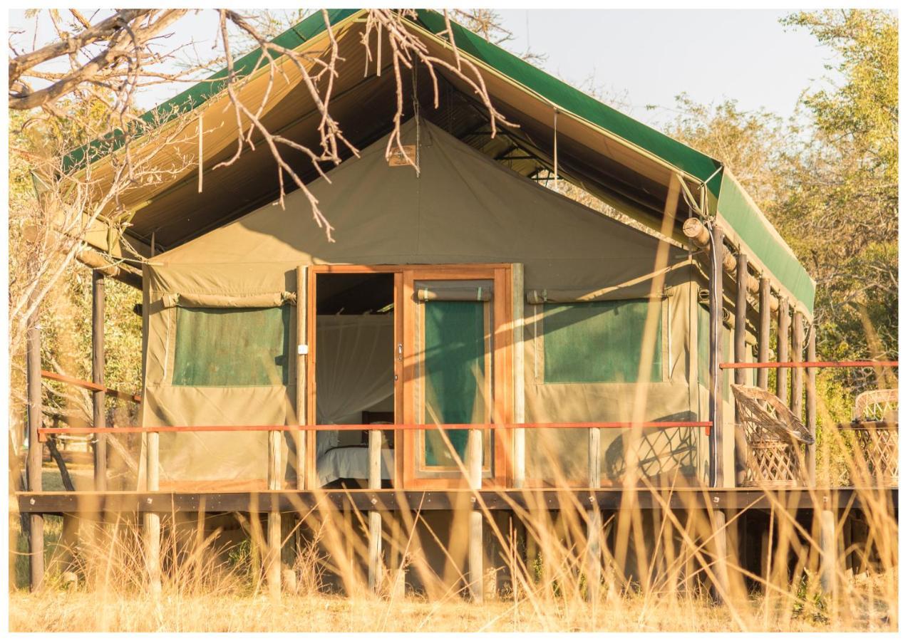 Timbavati Safari Lodge Mbabat Zewnętrze zdjęcie